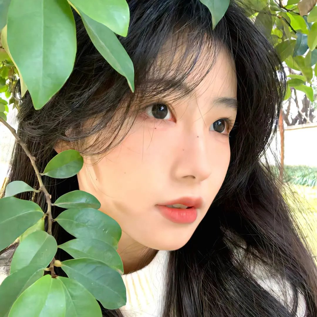 校影迷雾